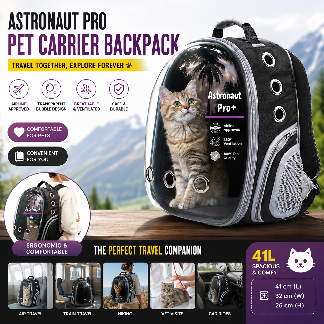 Best pet travel gear under 2000 India