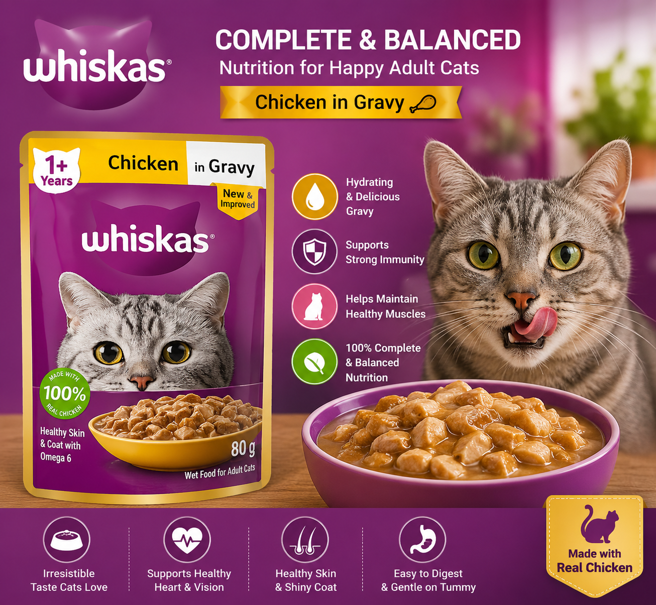 Whiskas Adult Chicken in Gravy Wet Cat Food Amazon India